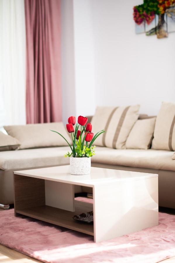 טימישוארה Claseb Apartment מראה חיצוני תמונה